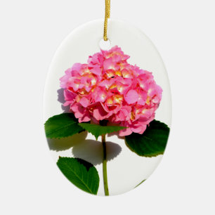 Elegantes rosa, blumenrosa Hydrangea Keramikornament