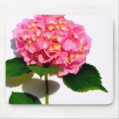 Elegantes rosa, blumenrosa Hydrangea Mousepad (Vorne)