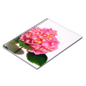 Elegantes rosa, blumenrosa Hydrangea Notizblock (Linke Seite)
