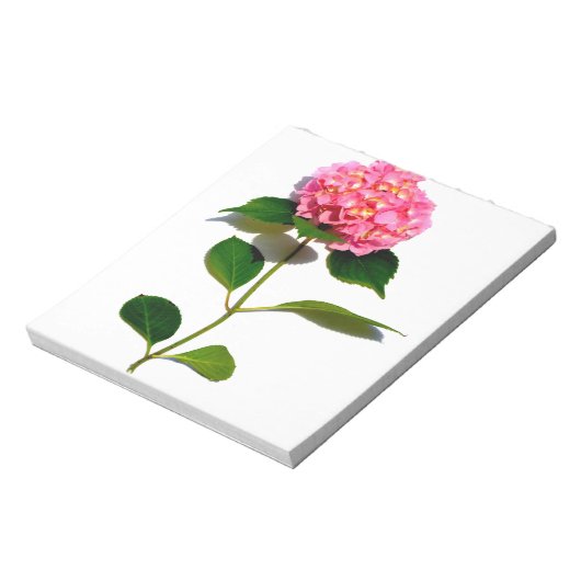 Elegantes rosa, blumenrosa Hydrangea Notizblock (Rotiert)