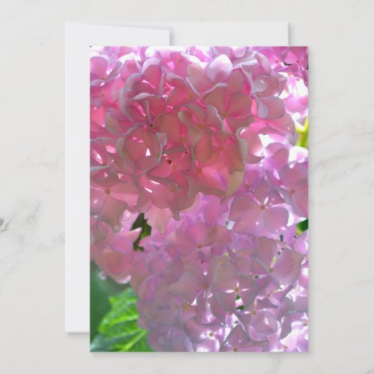 Elegantes Rosa Boho Blumen Blume Brautparty Einladung (Rückseite)