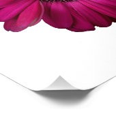 Elegantes Rosa Gerbera Daisy Foto Print (Ecke)