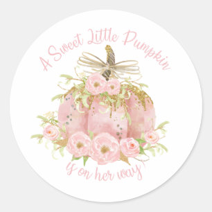 Elegantes rosa Kürbis-Babyparty-Mädchen Runder Aufkleber