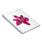 Elegantes Rosa Lily - Blumenästhetisches Notebook Notizblock (Rechte Seite)