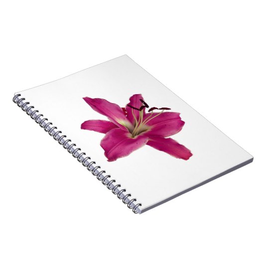 Elegantes Rosa Lily - Blumenästhetisches Notebook Notizblock (Rechte Seite)
