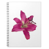 Elegantes Rosa Lily - Blumenästhetisches Notebook Notizblock (Vorderseite)