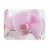 Elegantes rosa Orchid-Foto Magnet (Horizontal)