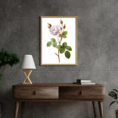 Elegantes rosa rosa botanisches Printable Poster