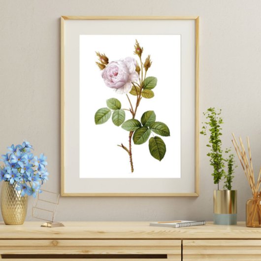 Elegantes rosa rosa botanisches Printable Poster