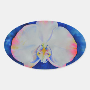 Elegantes Rosa Rosa Rosa Orchid Blume Ovaler Aufkleber