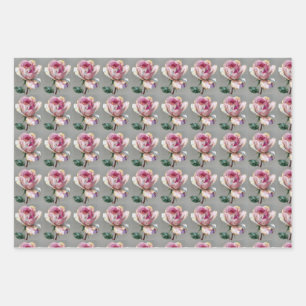 Elegantes rosa Rosen-Impasto-Blumenverpackungspapi Geschenkpapier Set