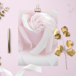 Elegantes rosa Rosenbläser Blumengestationspapier