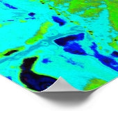 Elegantes rosa und blaues Limelight Hydrangea Poster (Ecke)