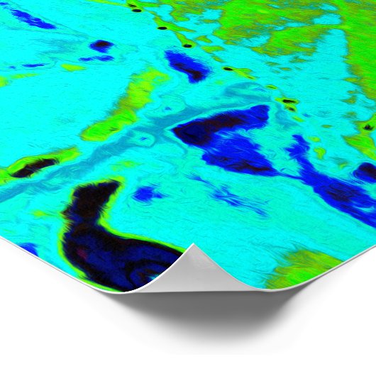 Elegantes rosa und blaues Limelight Hydrangea Poster (Ecke)