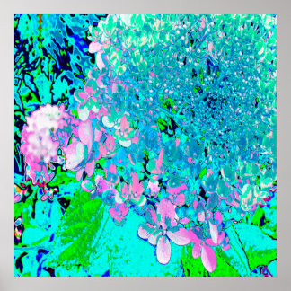 Elegantes rosa und blaues Limelight Hydrangea Poster