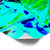 Elegantes rosa und blaues Limelight Hydrangea Poster (Ecke)