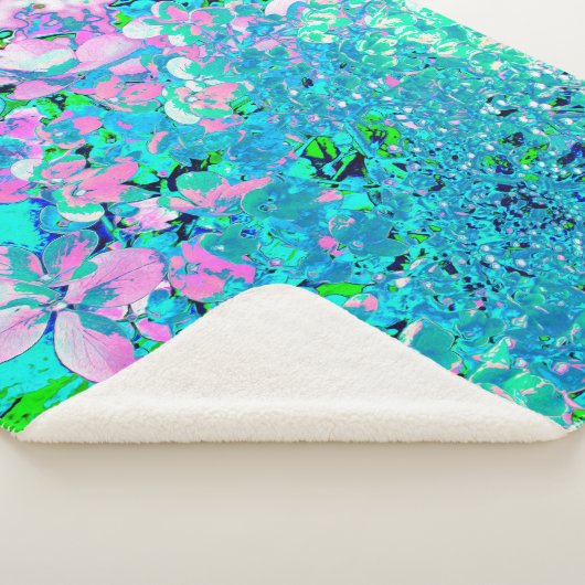 Elegantes rosa und blaues Limelight Hydrangea Sherpadecke (3/4)