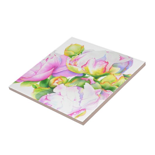 Elegantes, rosa, weißes Peelinggeflecht Fliese (Seite)