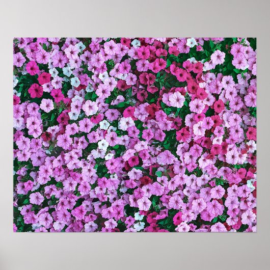 Elegantes rosafarbenes, florales Kunstwerk | Poster (Vorne)