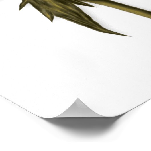 Elegantes Rose Poster (Ecke)