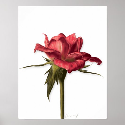Elegantes Rose Poster (Vorne)