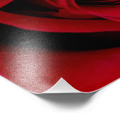 Elegantes Rote Rose Foto drucken (Ecke)