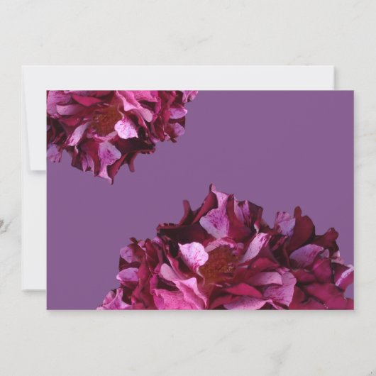 Elegantes Rotes Foto Hochzeit RSVP Einladung (Rückseite)