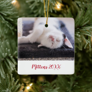 Elegantes Rotes Script Cat Foto Modern Keramikornament