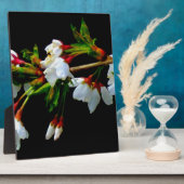 Elegantes, Schwarz-weiß blühendes weißes Blossom Fotoplatte (Seite)