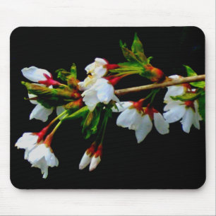 Elegantes, Schwarz-weiß blühendes weißes Blossom Mousepad