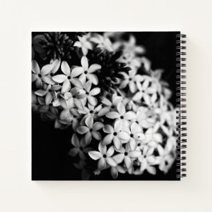 Elegantes Schwarz-Weiß-Blumenfoto Notizblock
