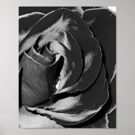 Elegantes Schwarz-Weiß-Rose-Foto-Poster Poster