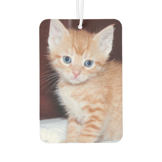 Elegantes Script Monogram Pale Lavender Cat Foto Autolufterfrischer (Rückseite)