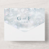Elegantes Script Winter Snowflakes Foto Hochzeit All In One Einladung (Rückseite)