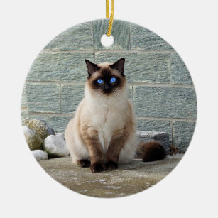Elegantes Siamese Cat Foto Keramik Ornament