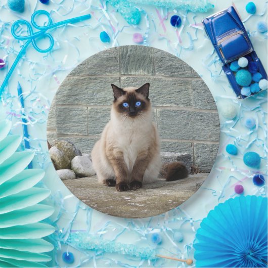 Elegantes Siamese Cat Foto Pappteller (Party)