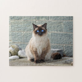 Elegantes Siamese Cat Foto Puzzle