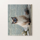 Elegantes Siamese Cat Foto Puzzle (Vertikal)