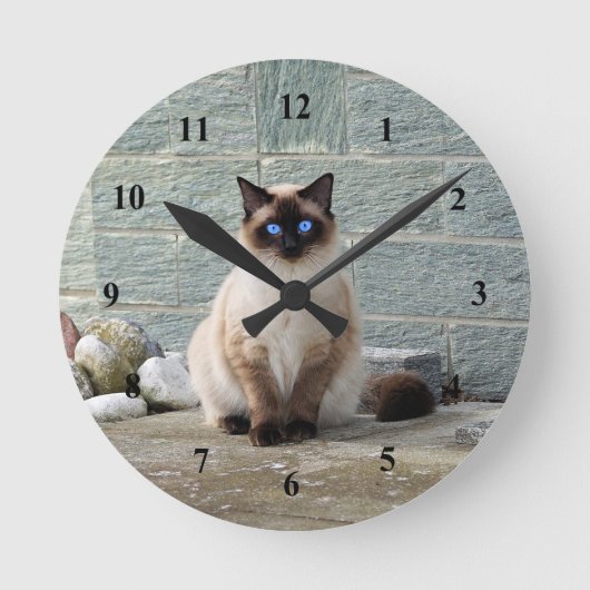 Elegantes Siamese Cat Foto Runde Wanduhr (Vorderseite)