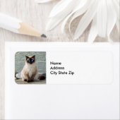 Elegantes Siamesisches Cat-Foto (Insitu)