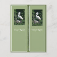 Elegantes Snowy Egret Lesezeichen