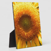 Elegantes Sonnenblumen-Foto Fotoplatte (Seite)
