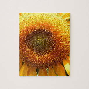 Elegantes Sonnenblumen-Foto Puzzle