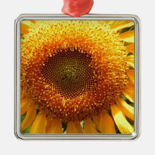Elegantes Sonnenblumen-Foto Silbernes Ornament