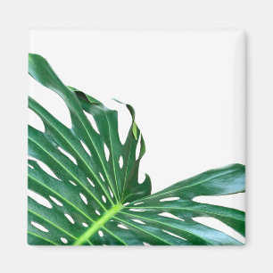 Elegantes tropisches Dschungelblatt aus Palmblätte Magnet