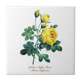 Elegantes Vintages botanisches Gelb Rose Fliese