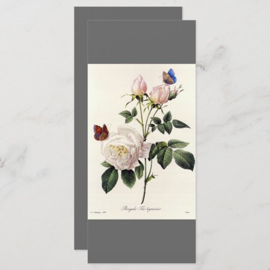 Elegantes Vintages botanisches Lesezeichen Programm (Vorne/Hinten)