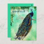 Elegantes Vintages Pfauenwerk Postkarte (Vorne/Hinten)