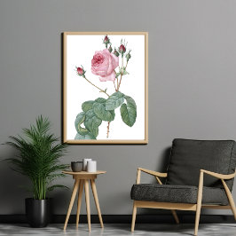 Elegantes Vintages rosa rosa rosa Botanisches Art  Poster