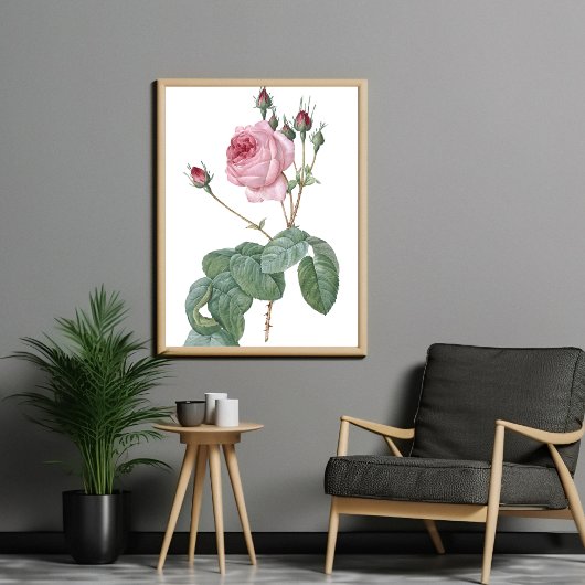 Elegantes Vintages rosa rosa rosa Botanisches Art Poster
